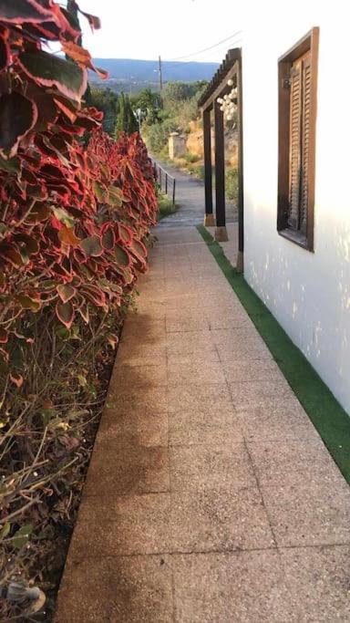 Casa rural con vistas maravillosas en Arico Sabina Alta Exterior foto